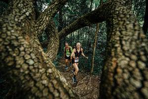 BIB: 
                            <button type="button" onclick="openModal(25668083)" class="btn btn-primary btn-sm float-right btn-popup" data-toggle="modal" data-target=".modal-high-quality">
                        <i class="fas fa-shopping-cart"></i> Add to Cart
                    </button>
                                            <button type="button" onclick="isThisMe(25668083, true)" class="btn btn-success btn-sm float-right btn-popup btn-isme hidden" data-toggle="tooltip" data-placement="bottom" title="นี่คือรูปของคุณใช่ไหม คลิกที่นี่เพื่อเอาเข้าอัลบั้ม">
                        <i class="fas fa-plus"></i> Add to album
                    </button>
                    <button type="button" onclick="isThisMe(25668083, false)" class="btn btn-warning btn-sm float-right btn-popup btn-isnotme hidden">
                        <i class="fas fa-ban"></i> Remove from album
                    </button>